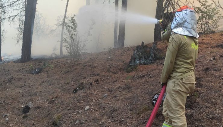 Adana’da ormanlık alanda çıkan yangın söndürüldü
