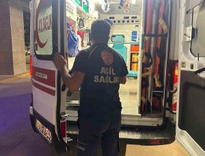 Adıyaman’da Arı Sokması: Bir Kişi Yoğun Bakımda