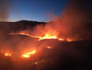 Adıyaman’da otluk alanda çıkan yangın ormana sıçradı