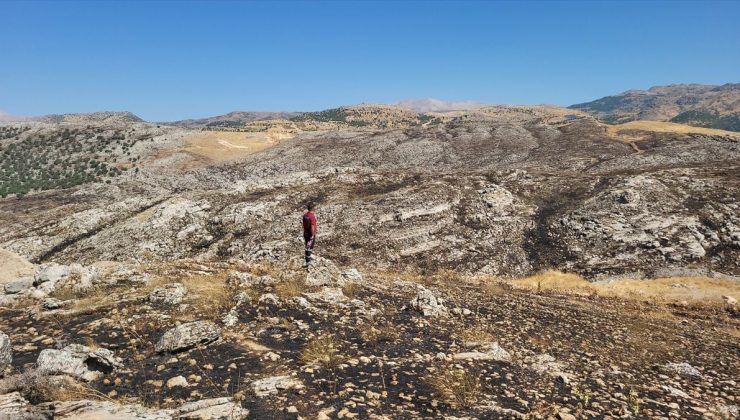 Adıyaman’da otluk alanda çıkıp ormana sıçrayan yangın kontrol altına alındı
