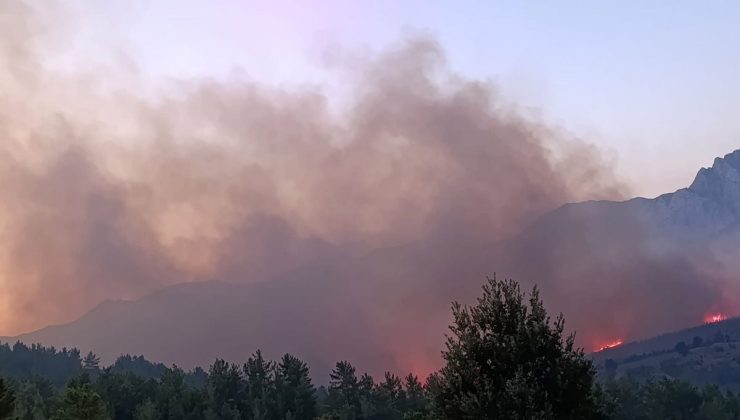 Alanya’da orman yangını