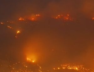 Alanya’da orman yangını