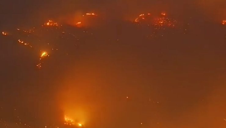 Alanya’da orman yangını