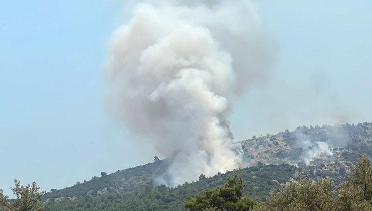 Antalya’daki orman yangınına müdahale ikinci günde de sürüyor