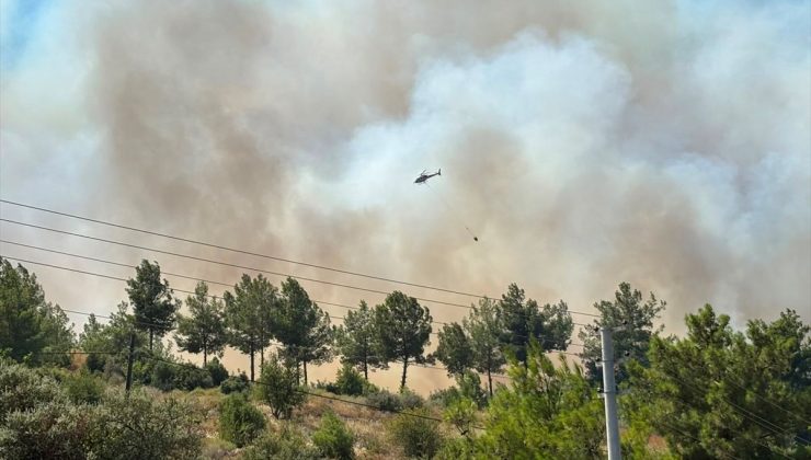 Antalya’nın Kumluca ilçesinde orman yangını çıktı
