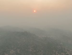 Aydın Çine’deki orman yangınında ikinci gün: Yangının bilançosu gün ağarınca ortaya çıktı