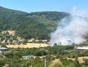 Aydın Kuyucak’ta zeytinlik alanda çıkan yangın kontrol altına alındı