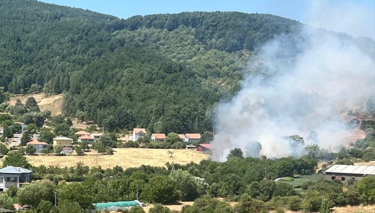 Aydın Kuyucak’ta zeytinlik alanda çıkan yangın kontrol altına alındı