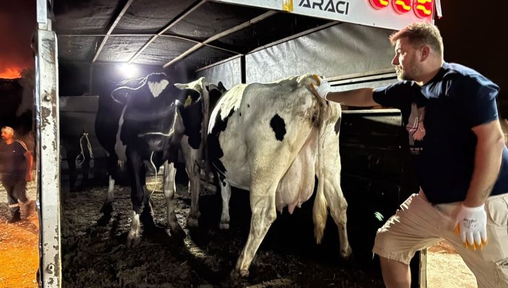 Aydın’da orman yangını
