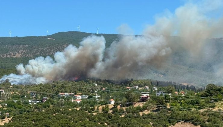Aydın’da ormanlık alanda yangın çıktı