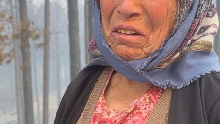 Aydın’daki orman yangınına havadan müdahale yeniden başladı