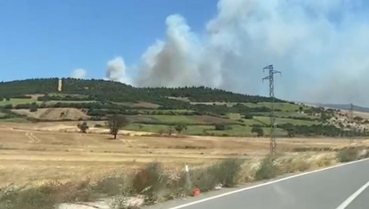 Balıkesir Susurluk’ta orman yangını