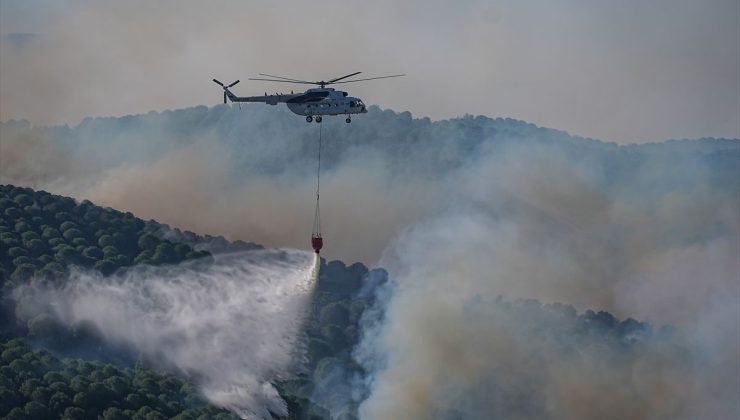Balıkesir Valiliğinden bölgedeki yangınlara ilişkin açıklama: