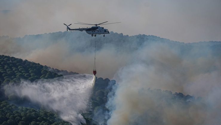 Balıkesir’in Gömeç ilçesindeki orman yangınına müdahale sürüyor