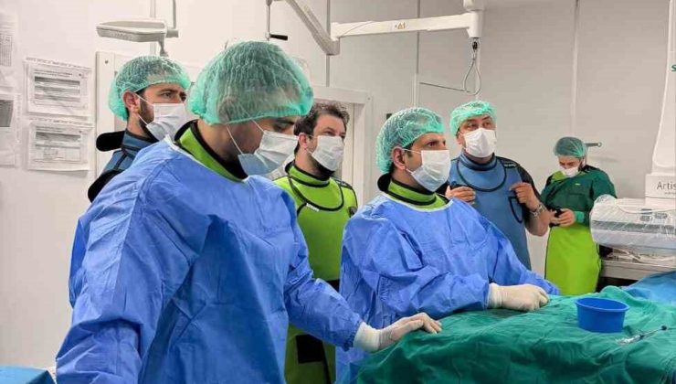 Bilecik’te kalpteki doğuştan delik ameliyatsız kapatıldı