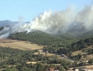 Çanakkale Bayramiç’teki orman yangını 4,5 saatte kontrol altına alındı
