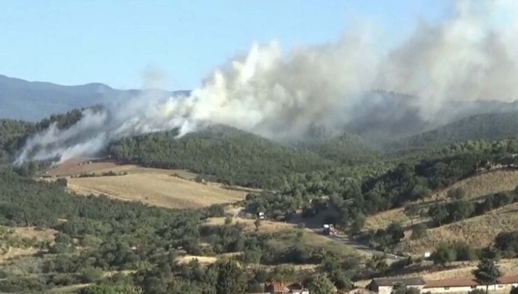 Çanakkale Bayramiç’teki orman yangını 4,5 saatte kontrol altına alındı