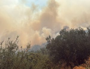 Çanakkale’de arazi yangını