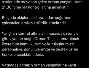 Çanakkale’de tarım arazisinde yangın