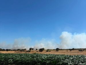 Çanakkale’nin Biga ilçesinde tarım arazisinde başlayıp ormanlık alana sıçrayan yangına müdahale ediliyor