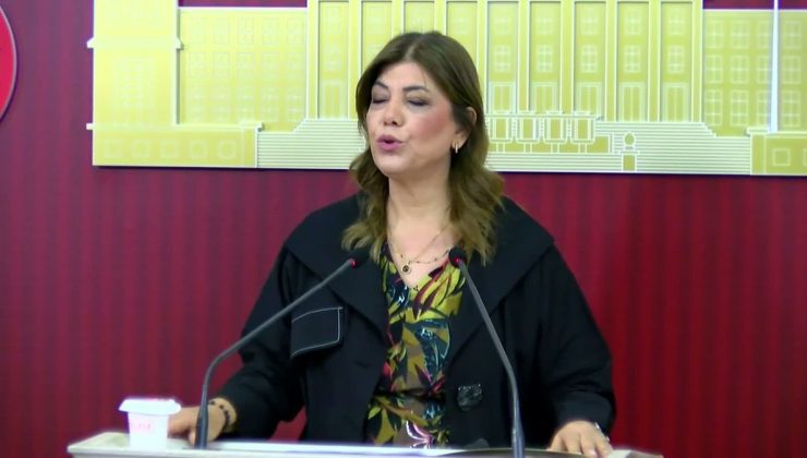DEM Parti’li Meral Danış Beştaş: “Çocuk yoksulluğu sadece gelir eksikliği değil, temel insan hakları sorunudur”