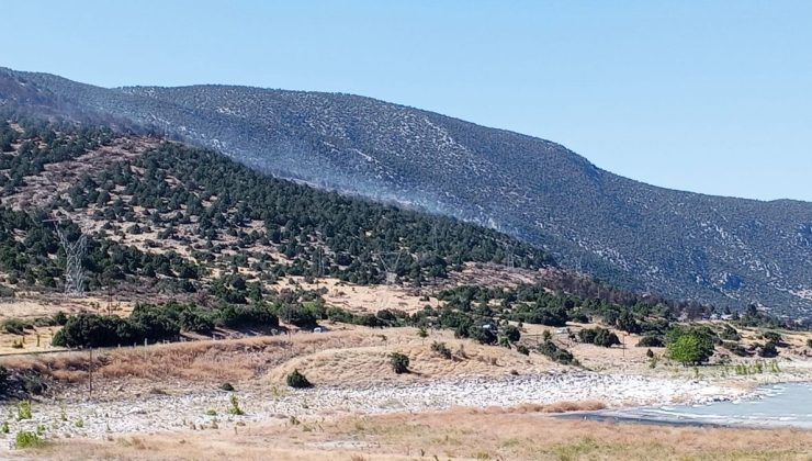 Eğirdir Gölü kenarında 2 noktada yangın