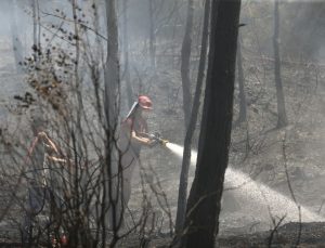 Fethiye’de kontrol altına alınan orman yangını rüzgarın etkisiyle yeniden başladı