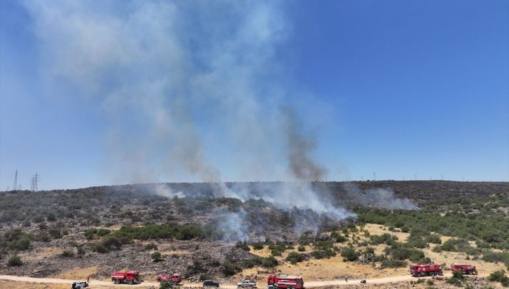 Gaziantep’te ormanlık alanda çıkan yangına müdahale ediliyor
