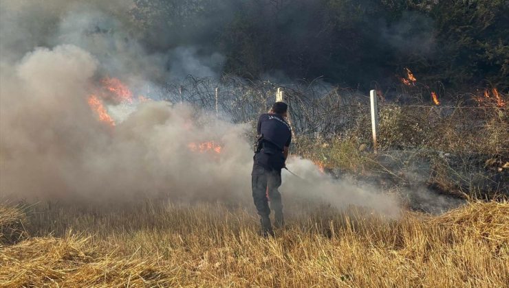 Gölpazarı’nda anız yangını havadan ve karadan müdahaleyle söndürüldü
