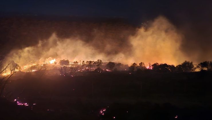 İzmir Dikili’de makilikte çıkan yangına müdahale ediliyor