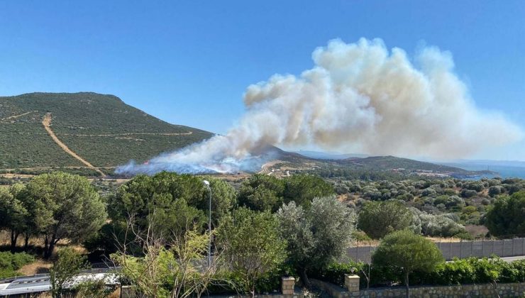İzmir Foça’da orman yangını