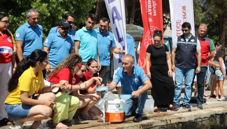 Köyceğiz Gölü’nde 100 bin sazan yavrusu suya bırakıldı