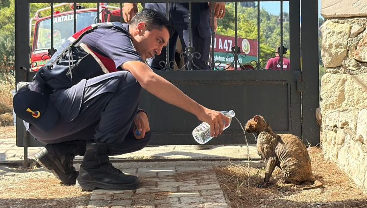 Kumluca’da orman yangını
