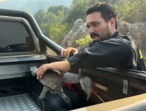 Kumluca’da orman yangını