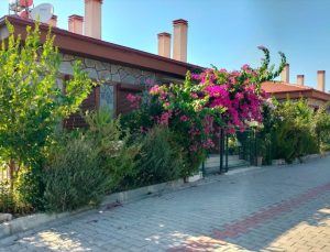 Manavgat beş yılda yeniden yeşerdi