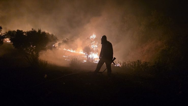 Manisa’da zeytinlik ve makilik alanda çıkan yangına müdahale ediliyor
