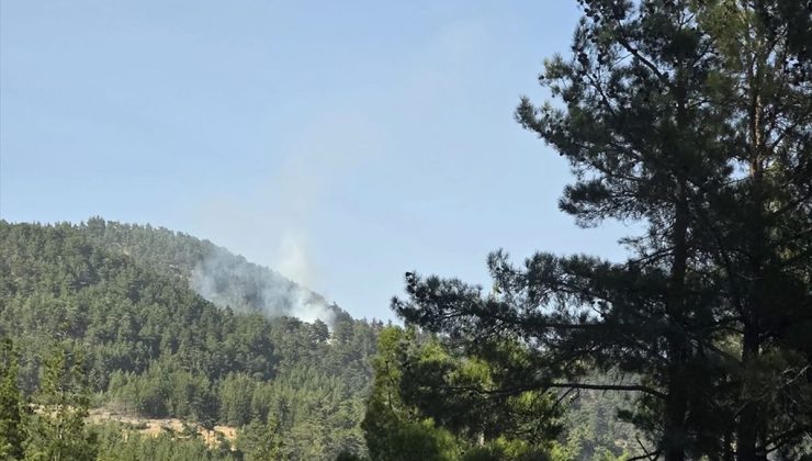 Mersin’de ormanlık alanda çıkan yangın söndürüldü