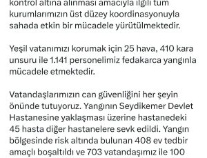Muğla’da orman yangını