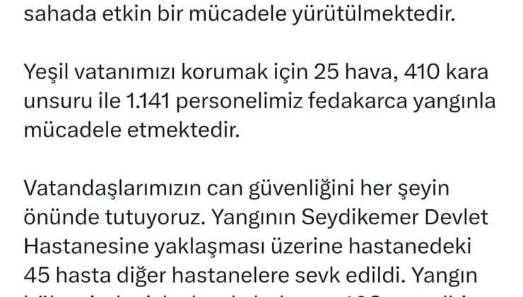 Muğla’da orman yangını