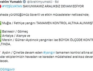 Muğla’daki yangınlarda 5 bin hektardan fazla alan zarar gördü