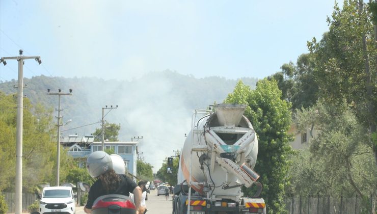 Muğla’nın Fethiye ilçesinde orman yangını çıktı