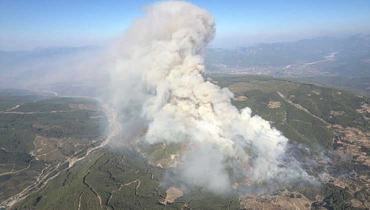Muğla’nın Seydikemer ilçesinde orman yangını çıktı
