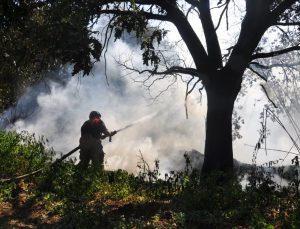 Ödemiş’te otluktan zeytin bahçelerine sıçrayan yangın kontrol altında