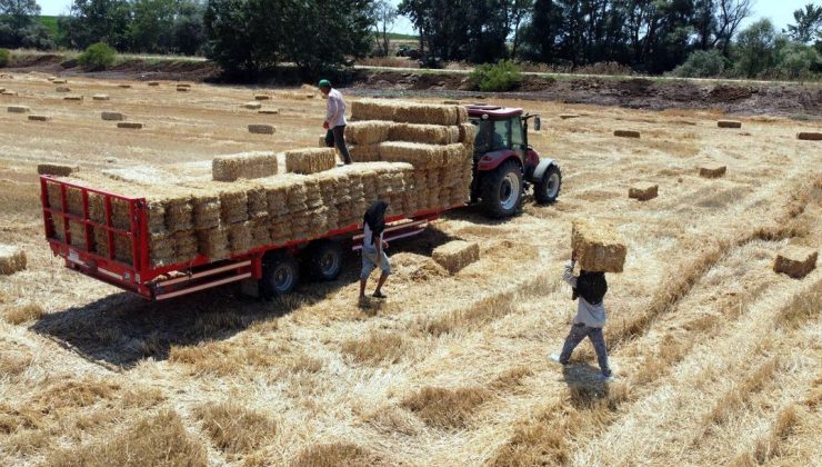 Tekirdağ’da balya bağlama ile açık alanda ateş yakılması yasaklandı