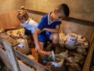 TİKA’dan Bosna Hersek’teki yetim ailelerine kümes hayvancılığı desteği