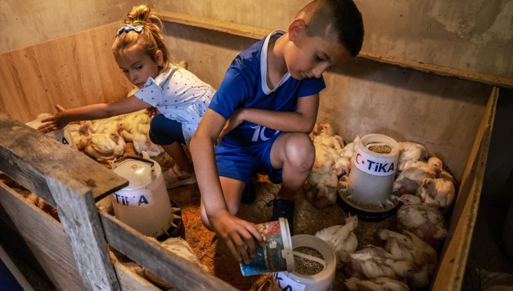 TİKA’dan Bosna Hersek’teki yetim ailelerine kümes hayvancılığı desteği