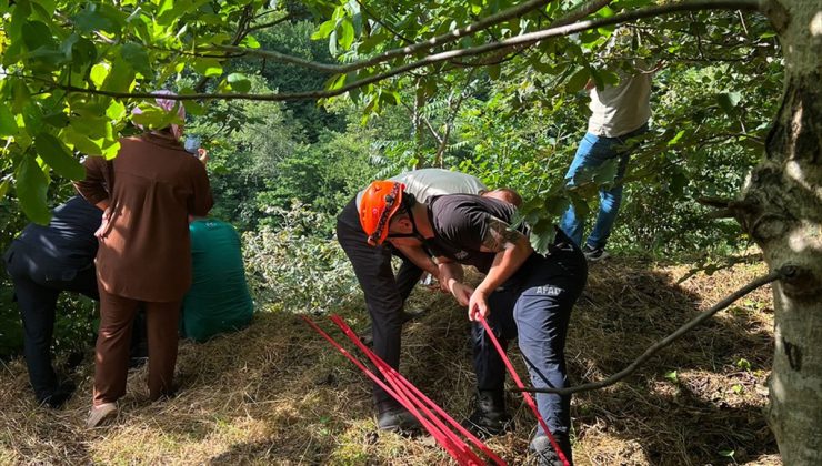 Trabzon’da yamaçtan yuvarlanan inek kurtarıldı