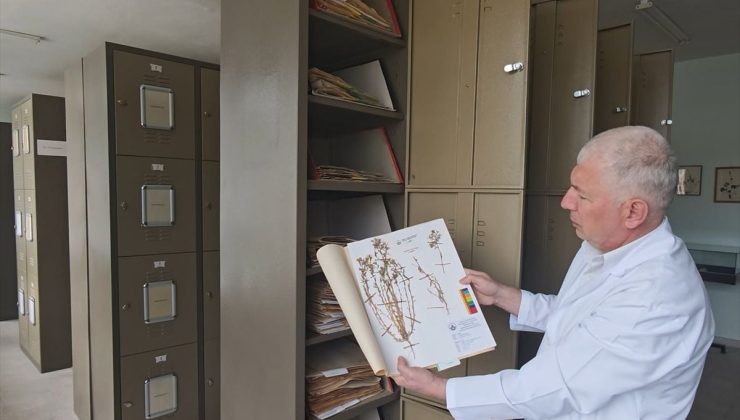 Trakya’nın biyolojik mirası EDTU Herbaryumu’nda kayıt altına alınıyor