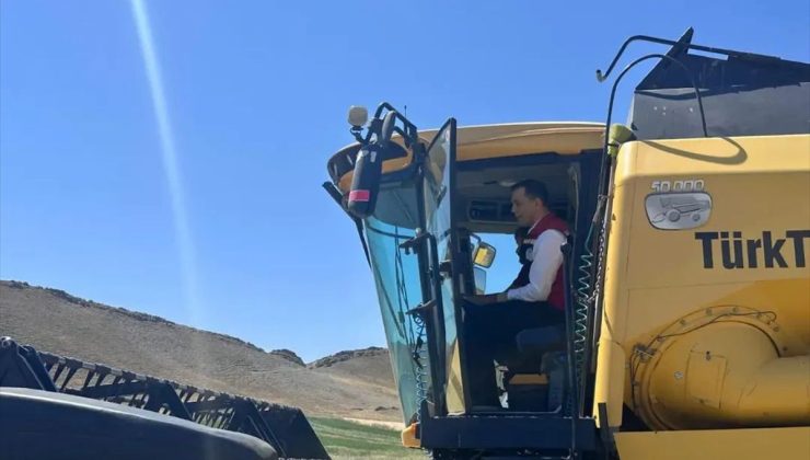 Ulaş Kaymakamı Avcı, hububat hasadına katıldı