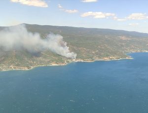 Yalova’da çıkan orman yangınına müdahale ediliyor